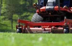 A Guide to Choosing the Right Turf for Your Lawn