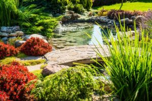 Landscaping Tips To Increase Your Properties’ Value