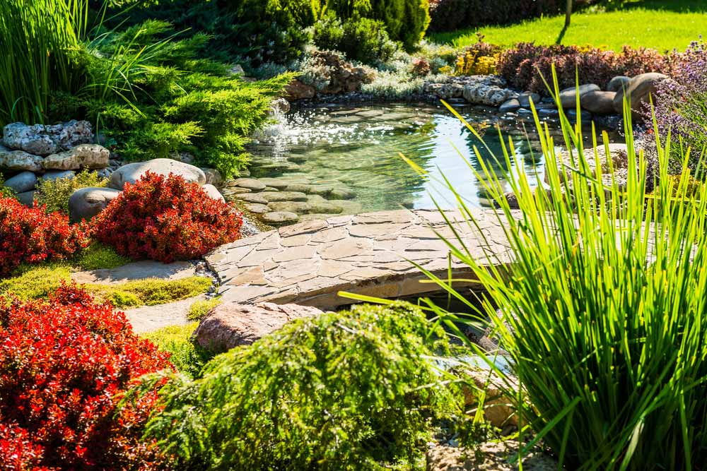 Landscaping Tips To Increase Your Properties’ Value