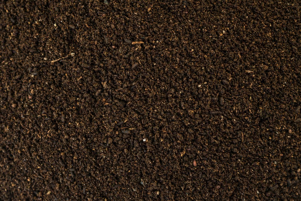 Close-up Of A Topsoil