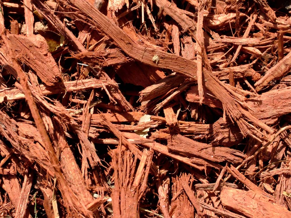 The Benefits And Drawbacks Of Cypress Mulch