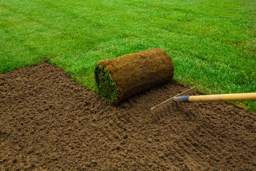 5 Tips For Choosing The Best Turf Supplier